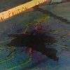 Crime Scene series