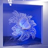 Art by Artists at Walnut Studios
