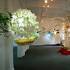 Art by Artists at Walnut Studios