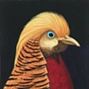 Art by Artists at Walnut Studios