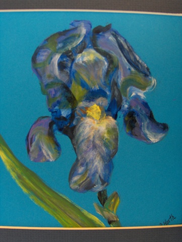 Blue Iris
