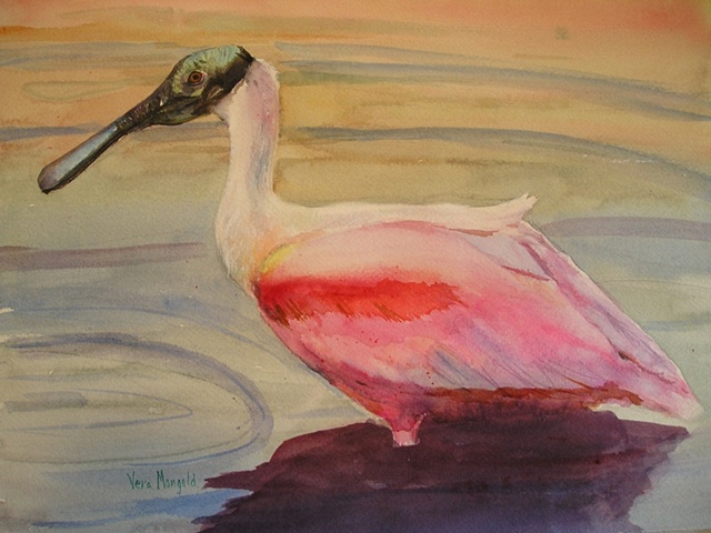 Roseatte Spoonbill