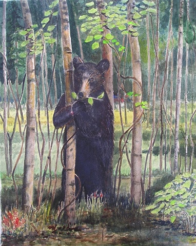 Black Bear In The Aspens