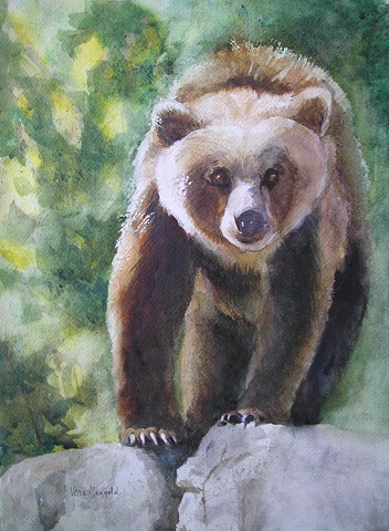 This Bear's Rock