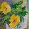 Yellow Hibiscus