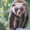 This Bear's Rock