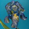 Blue Iris