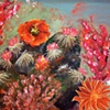 Cactus Flowers