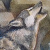 Howling Wolf