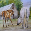 Mare And Filly 