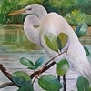 Great Egret