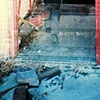 Trap Door