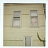 Bush