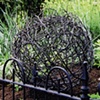 Ball of Thorns, No. 2
