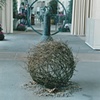 Nesting