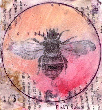 Bombus Terrestris