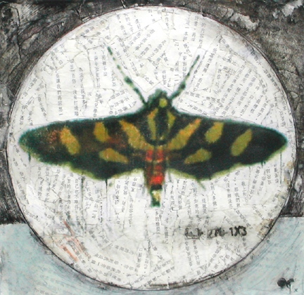 Untitled Moth