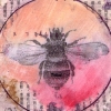 Bombus Terrestris