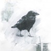 Raven with Gita