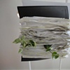 Invasive Species (detail)