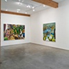 install shot