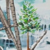 Kolyma