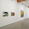 install shot