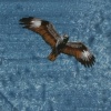 Undara 2: In Flight
