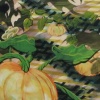 Pumpkins (after JM Coetzee)