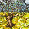 Laurel Orchard