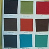 Chameleon Colors