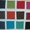 Chameleon Colors