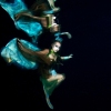 Fairy Breaking Surface
