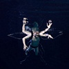 Fairy