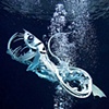 Hubcap Fish 2