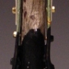Beaver Creek Necklace 