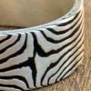 Star Pattern Band