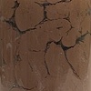Clay