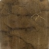 Dog hair