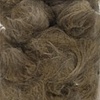 Cat hair
