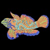 Toby (The Goby),
by Christine Brallier, CA

