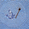 At Peace with Chopsticks,
by Suzie Soucy, NC

