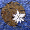 Waterlily,
by Annette Cossentine, NC