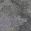 Exhibitions
