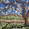 Spring Dogwood,
by Shawn Newton
