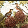 Peaceful Morning,
by Susan Nuttall