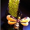 The Queen Bee,
by Debra Mager, GA
