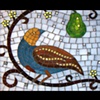 In a Pear Tree,
by Christine Brallier, CA
