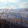 Blue Ridge Parkway,
by Holt McLean