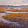 Winter Marsh,
by Greg Barnes